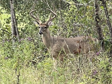 Welcome to the premier hunting and fishing destination in the