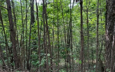 Ellijay River Lot Active Under Contract in Ellijay Georgia