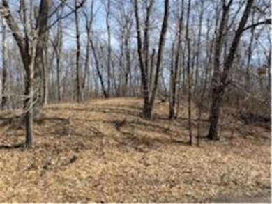 Mille Lacs Lake Lot For Sale in Kathio Twp Minnesota