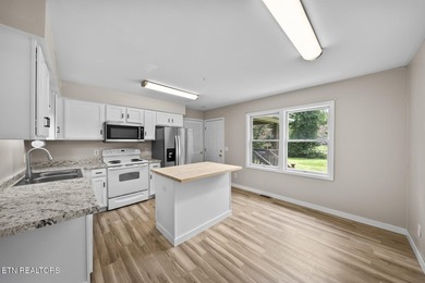 'Boat in the water in under 5 minutes. This move-in-ready - photo 18
