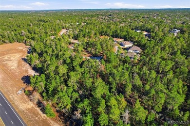 Welcome to this spacious 4-bedroom, 3 full bathroom home located - photo 39