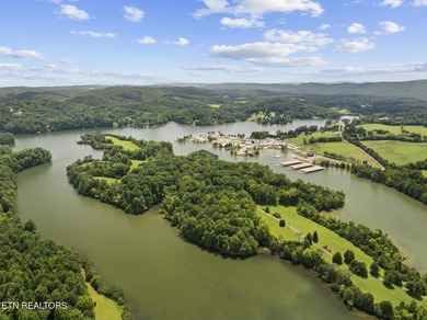 'Boat in the water in under 5 minutes. This move-in-ready - photo 43