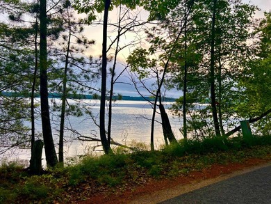 Experience the best of Northwoods lake living with this - photo 2