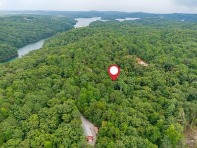 Lake Lot For Sale in Ellijay, Georgia