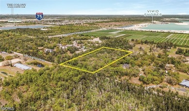 13090 Rio Grande Drive consists of 4.73+/- acres located just - photo 1