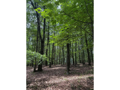 Lake Acreage For Sale in Huntingdon, Pennsylvania