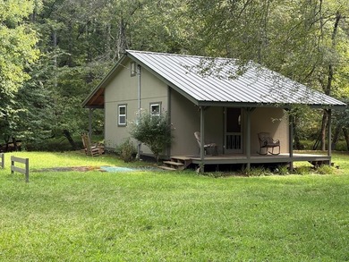 Toccoa River - Fannin County Home For Sale in Mineral Bluff Georgia