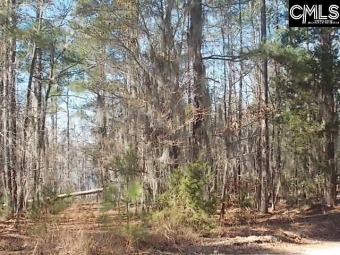 One of 4 elevated main channel lots, near the lower dam. SOLD - Lake Lot SOLD! in Camden, South Carolina