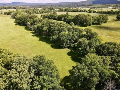 This exceptional multi-use farm with Petit Jean River frontage - photo 8