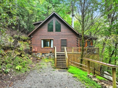 Lake Home For Sale in Ellijay, Georgia