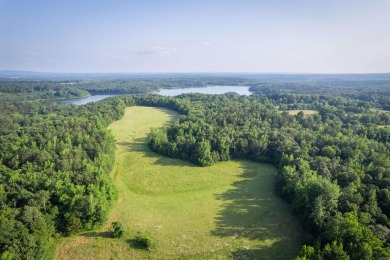 Lake Wilhelmena  Acreage For Sale in Mena Arkansas