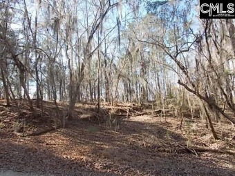 One of 4 elevated main channel lots, near the lower dam.  - Lake Lot For Sale in Camden, South Carolina