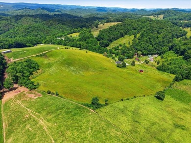 This beautiful brick home sits on more than 24 acres of scenic - photo 41
