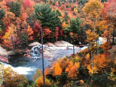Turnkey Blue Ridge Mountains Investment Opportunity, a Private - photo 42