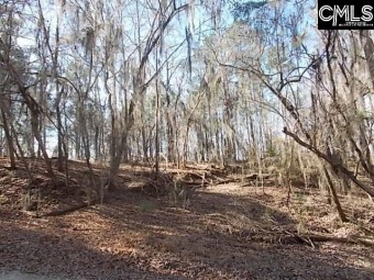 One of 4 elevated main channel lots, near the lower dam. - Lake Lot For Sale in Camden, South Carolina