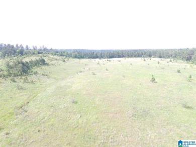 878+/- Acres Development Tract with 3 access points. 1st access - photo 11