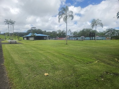 Located at the end of a quiet street behind Pahoa Elementary - photo 11