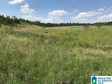 878+/- Acres Development Tract with 3 access points. 1st access - photo 13