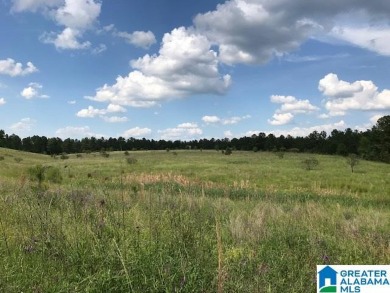 878+/- Acres Development Tract with 3 access points. 1st access - photo 14