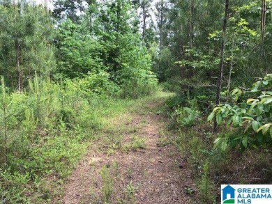 878+/- Acres Development Tract with 3 access points. 1st access - photo 15