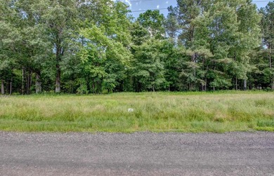 mazing lot with breathtaking views of the River. Lot has been - photo 5