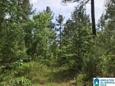 878+/- Acres Development Tract with 3 access points. 1st access - photo 16