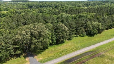 mazing lot with breathtaking views of the River. Lot has been - photo 7