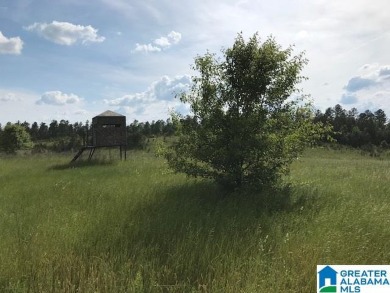 878+/- Acres Development Tract with 3 access points. 1st access - photo 18
