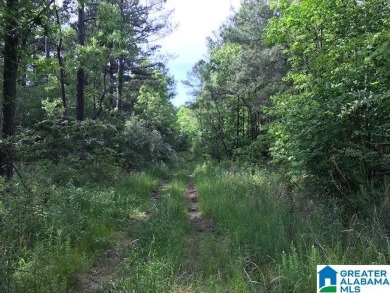878+/- Acres Development Tract with 3 access points. 1st access - photo 19