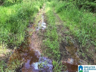 878+/- Acres Development Tract with 3 access points. 1st access - photo 20