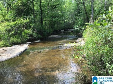 878+/- Acres Development Tract with 3 access points. 1st access - photo 21