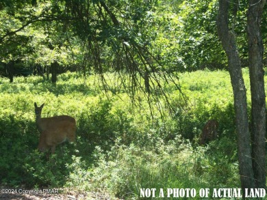 Lake Lot For Sale in Albrightsville, Pennsylvania