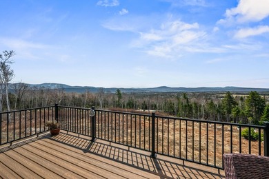 Experience mountain living at its finest in this stunning - photo 41