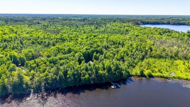 Three Lakes Chain legacy property with unlimited potential. Here - photo 6