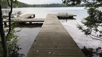 Three Lakes Chain legacy property with unlimited potential. Here - photo 8