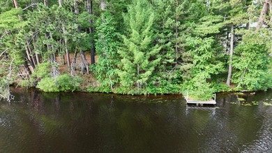 Lake Mohawksin Lot For Sale in Tomahawk Wisconsin