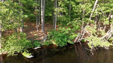 Build your Northwoods dream on this beautiful 0.34-acre wooded - photo 3