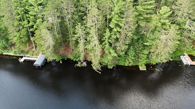 Build your Northwoods dream on this beautiful 0.34-acre wooded - photo 4
