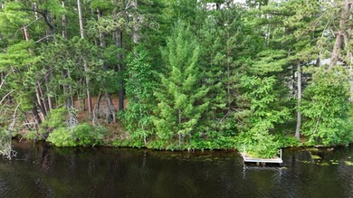 Build your Northwoods dream on this beautiful 0.34-acre wooded - photo 6