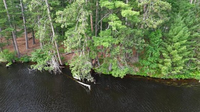 Build your Northwoods dream on this beautiful 0.34-acre wooded - photo 9