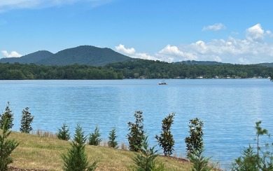 Located on a quiet cove on the banks of Lake Chatuge, this - Lake Home For Sale in Hiawassee, Georgia