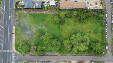 An exceptional commercial development opportunity awaits in West - photo 2