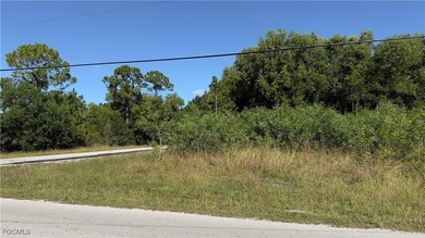 Lehigh Acres Area Lot For Sale in Lehigh Acres Florida