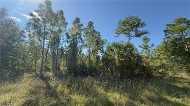 Lehigh Acres Area Lot For Sale in Lehigh Acres Florida