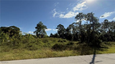 Lehigh Acres Area Lot For Sale in Lehigh Acres Florida