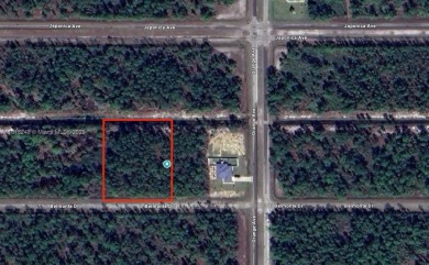 Lake Lot Sale Pending in Lake Wales, Florida