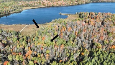 Long Lake - Vilas County Acreage For Sale in Phelps Wisconsin