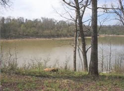 Lake Acreage For Sale in Leitchfield, Kentucky