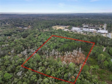 Newnans Lake Acreage For Sale in Gainesville Florida