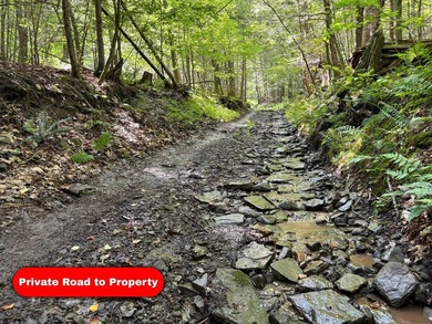 Privacy, seclusion, and outdoor access without the massive price - photo 22